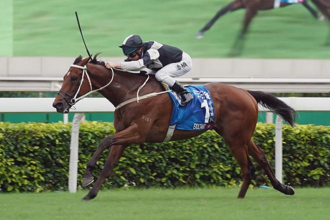 罩夺魁家族曾养香港马王m6米乐王经纬赛驹戴眼(图4)