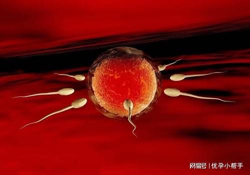 孕期需要注意什么呢？-优孕行m6米乐注册高龄女性备孕及