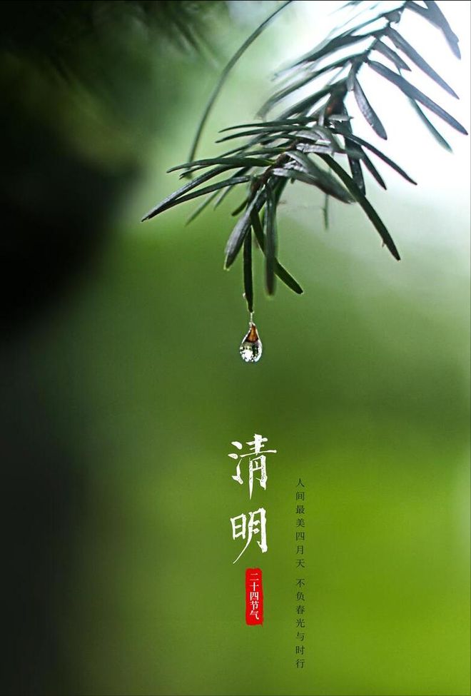 八十不扫墓”关于清明禁忌你知道多少？米乐体育app网站老话：“七十不上坟(图4)